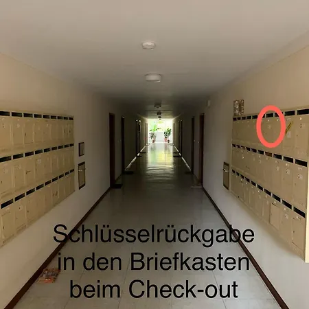 Seekitz *